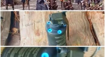 TPNPB Nyatakan Tidak Gentar Hadapi Serangan Militer Indonesia