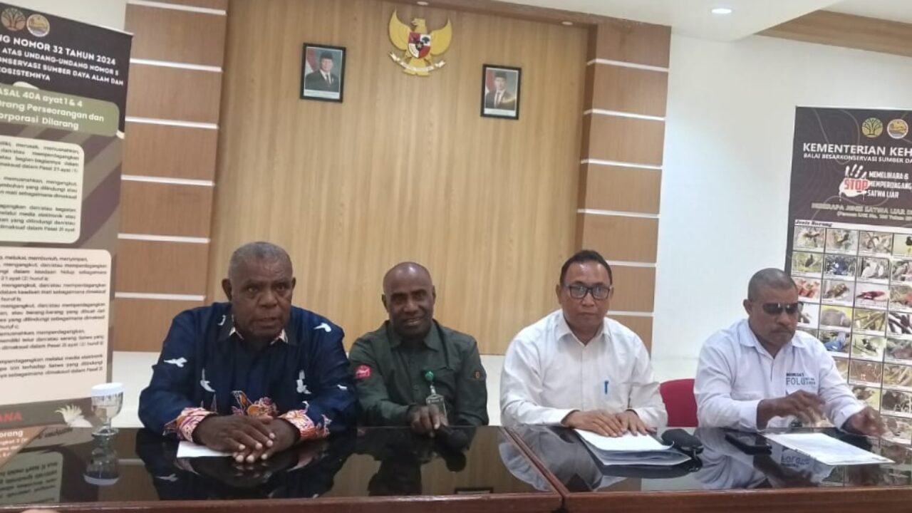 BBKSDA Papua Buka Suara: Pemusnahan Mahkota Cenderawasih untuk Berantas Perdagangan Ilegal - TOMEI.ID