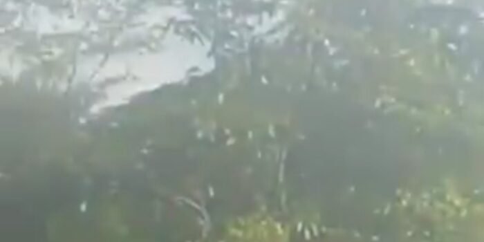 WhatsApp Image 2025-12-13 at 04.26.09