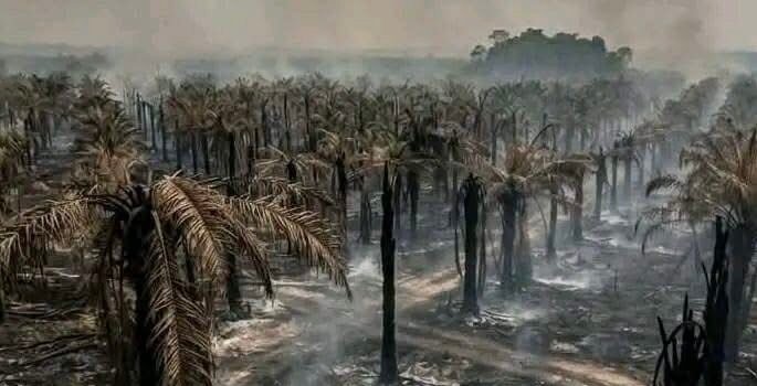 IMG_8483